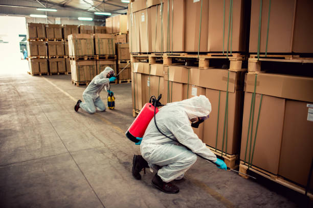 Best Flea Control Services  in , NH