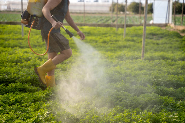 Best Mosquito Control Services  in , NH