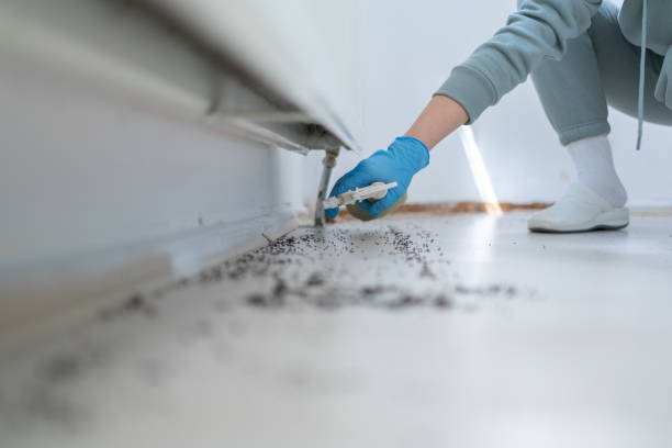 Best Pest Control for Homes  in , NH