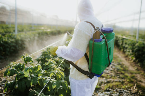 Best Affordable Pest Control Services  in , NH